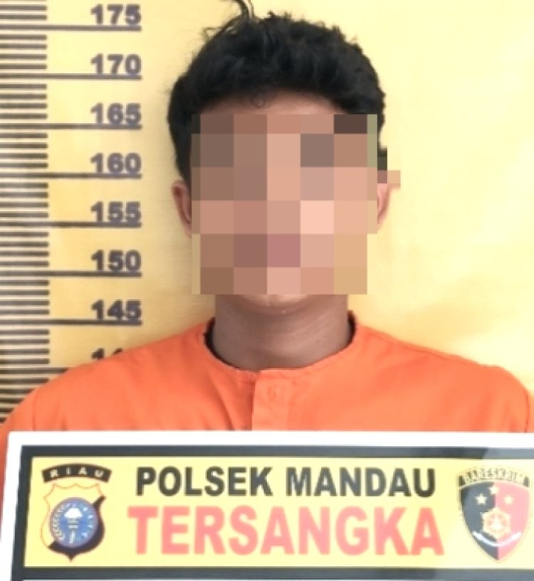 Diduga Cabuli Anak Dibawah Umur, Karyawan Swasta Asal Bengkalis Ditahan Polsek Mandau