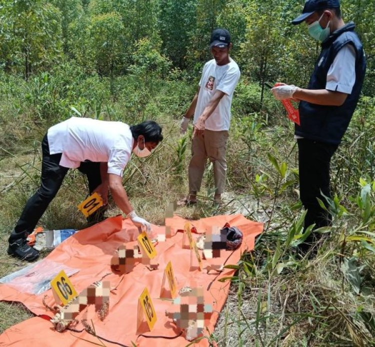 Temukan Kerangka Manusia Di Kawasan PT RAPP, Polres Kuansing Lakukan Autopsi Dan Penyelidikan
