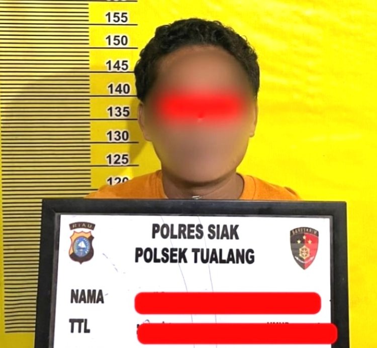 Ketahuan Curi 27 Tandan Sawit Di Kebun PT SIR Lukut, Pria Di Tualang Siak Diamankan Polisi