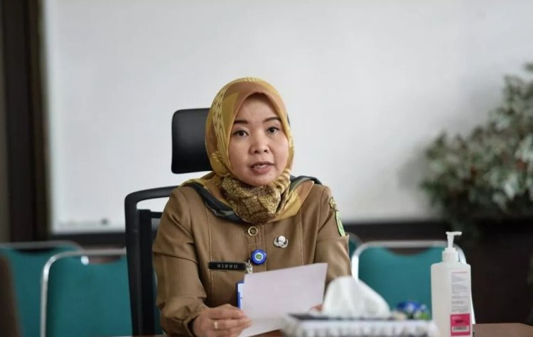 Retribusi Daerah Belum Optimal, Bapenda Riau Usulkan Skema Iuran Tambang Rakyat