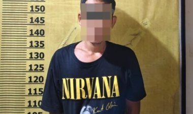 Kepergok Mencuri Sawit Milik PT SBP, Pria Di Pangkalan Kuras Diamankan Polisi