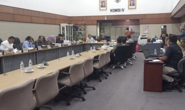 Distribusi Sawit Menumpuk Di Rupat, Komisi IV DPRD Riau Desak Penambahan Kapal Penyeberangan