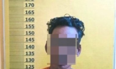 Curi 180 Kg Sawit Di PT Serikat Putra Pelalawan, Pria Rawang Empat Diciduk Tim Patroli