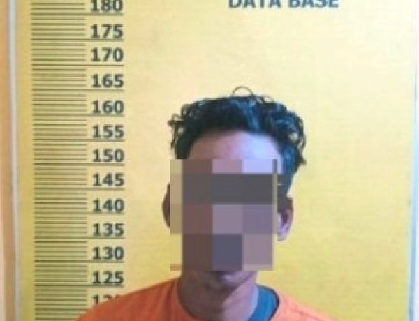 Curi 180 Kg Sawit Di PT Serikat Putra Pelalawan, Pria Rawang Empat Diciduk Tim Patroli