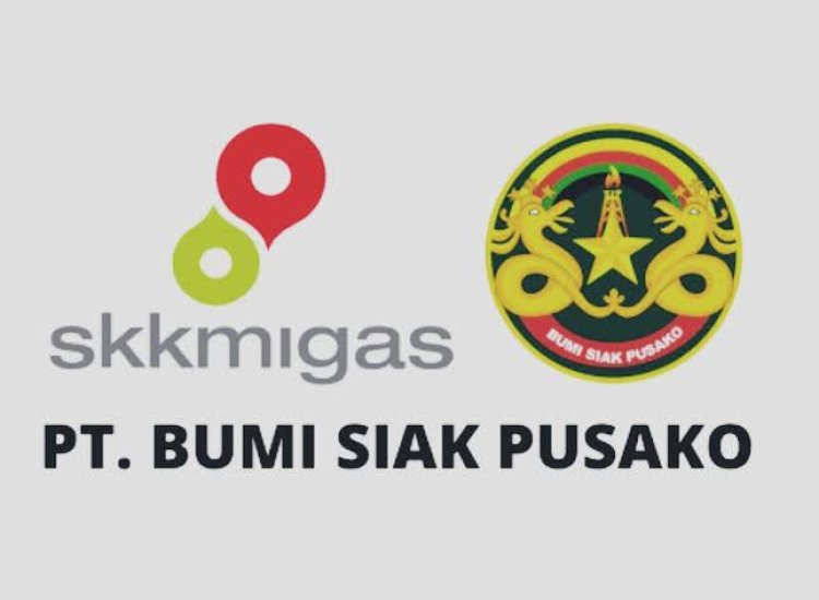 Targetkan Pemimpin Profesional Dan Berintegritas, Pemkab Siak Buka Seleksi Direktur PT BSP 2026–2031