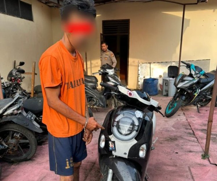 CCTV Bongkar Aksi Pencurian Dinamo Yanmar, Polsek Tualang Bekuk Pelaku Di Pinang Sebatang