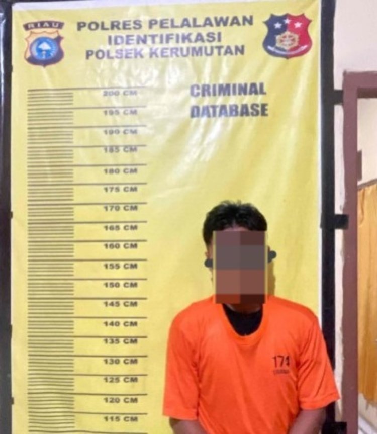 Gagal Bawa Kabur 32 Tandan Sawit Di Tanjung Air Hitam, Pemuda 21 Tahun Diamankan Polsek Kerumutan