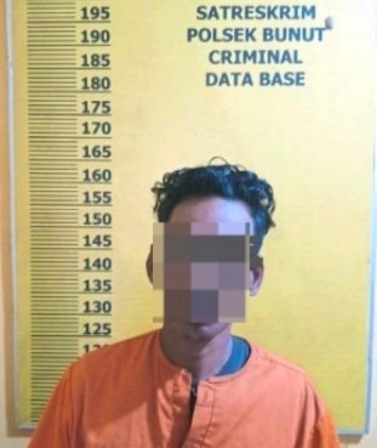 Curi 180 Kg Sawit Di PT Serikat Putra Pelalawan, Pria Rawang Empat Diciduk Tim Patroli