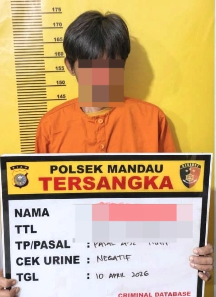 Tipu Warga Hingga Rp7 Juta Dengan Janji Masuk Kerja, Pria Di Mandau Diciduk Polisi