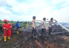 Dalami Kasus Karhutla 40 Hektare Di Teluk Meranti, Polres Pelalawan Periksa Pengurus Koperasi RTBS