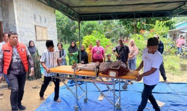 Bongkar Dugaan Pencabulan Anak Di Balai Jaya, Polres Rokan Hilir Tetapkan Kakek Korban Sebagai Tersangka