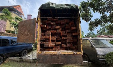 Tegaskan Komitmen Green Policing, Polda Riau Gagalkan Illegal Logging Dari Cagar Biosfer Giam Siak Kecil