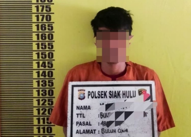 Dua Hari Pinjam Motor Tetangga Tak Dikembalikan, Pria Di Kampar Ditangkap Polsek Siak Hulu