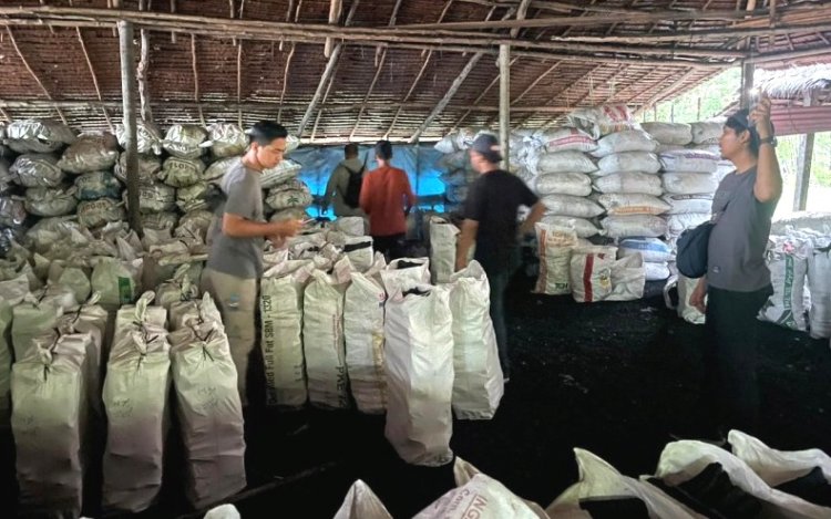 Bongkar Dapur Arang Ilegal di Meranti, Polda Riau Amankan Tiga Orang Perusak Hutan Mangrove