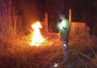 Kawanan Gajah Rusak Kebun Semangka Warga Muara Fajar, KSDA Riau Lakukan Mitigasi Di Lahan 1,5 Hektare