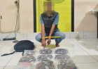 Bongkar Jaringan Narkoba Lintas Daerah, Polda Riau Ringkus Kurir Bawa 933 Butir Ekstasi Dan 300 Pot Getar