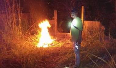 Kawanan Gajah Rusak Kebun Semangka Warga Muara Fajar, KSDA Riau Lakukan Mitigasi Di Lahan 1,5 Hektare