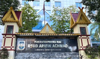 Transformasi Layanan Kesehatan, Kemenkes RI Tunjuk RSUD Arifin Achmad Jadi Pengampu Jantung Se-Riau