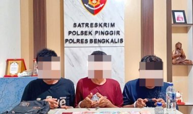 Bongkar Sarang Narkoba Di Kebun Sawit Kandis, Polsek Pinggir Ringkus Tiga Tersangka
