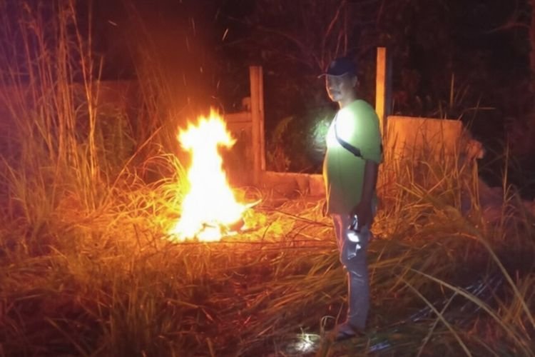 Kawanan Gajah Rusak Kebun Semangka Warga Muara Fajar, KSDA Riau Lakukan Mitigasi Di Lahan 1,5 Hektare