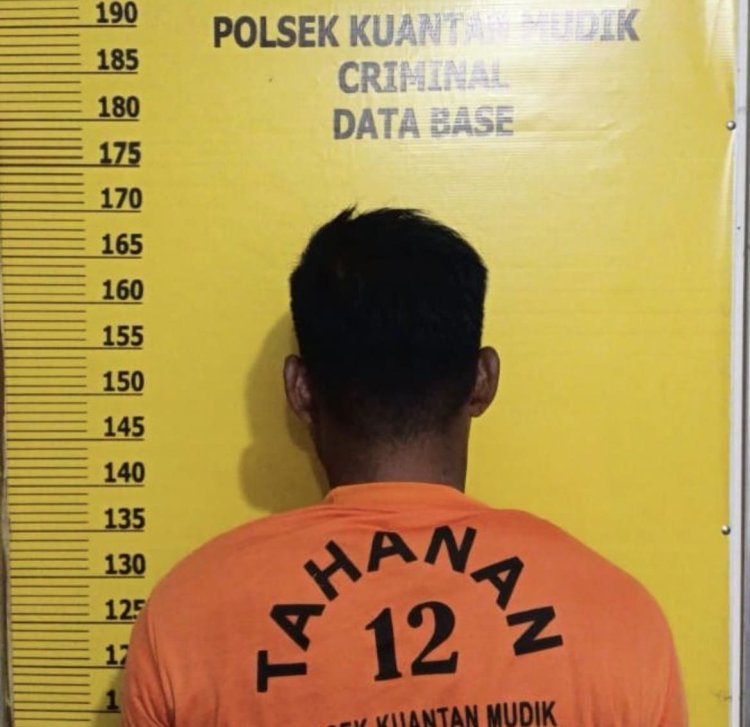 Berantas Aktivitas PETI Di Desa Pantai, Polsek Kuantan Mudik Ringkus Seorang Penambang Emas Ilegal