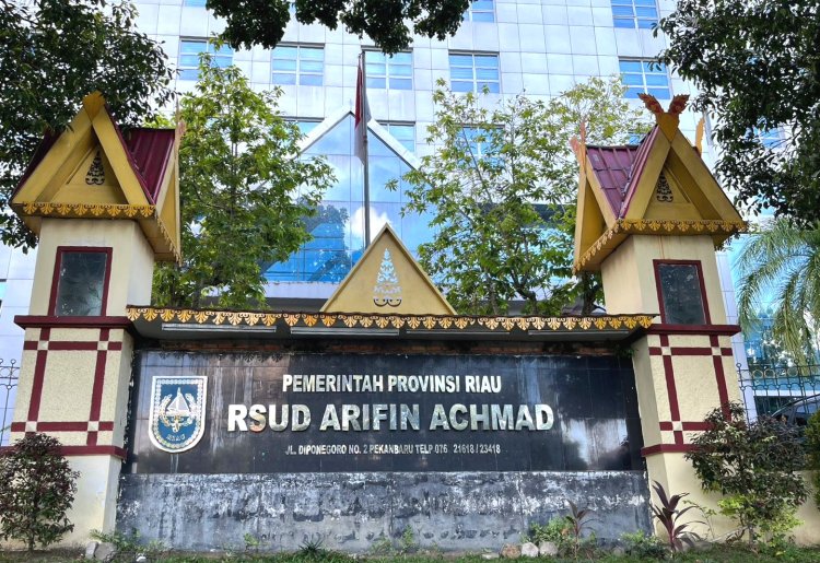 Transformasi Layanan Kesehatan, Kemenkes RI Tunjuk RSUD Arifin Achmad Jadi Pengampu Jantung Se-Riau