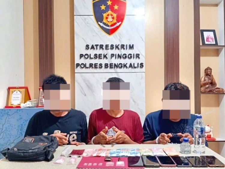 Bongkar Sarang Narkoba Di Kebun Sawit Kandis, Polsek Pinggir Ringkus Tiga Tersangka