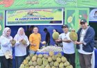 Dongkrak Pariwisata Dan Ekonomi Lokal, Wabup Bagus Santoso Resmikan Bengkalis Durian Fest 2026