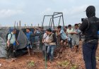Serangan Harimau Sumatera Kembali Memakan Korban, BBKSDA Riau Pasang Box Trap Di Pelalawan