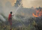 Lahan Terbakar Capai 38 Hektare, BPBD Pekanbaru Kerahkan 90 Personel Padamkan Karhutla
