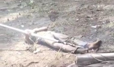 Peristiwa Tragis Terjadi Di Tapung, Seorang Pria Tewas Diduga Tersengat Listrik Saat Mengambil Buah Sawit