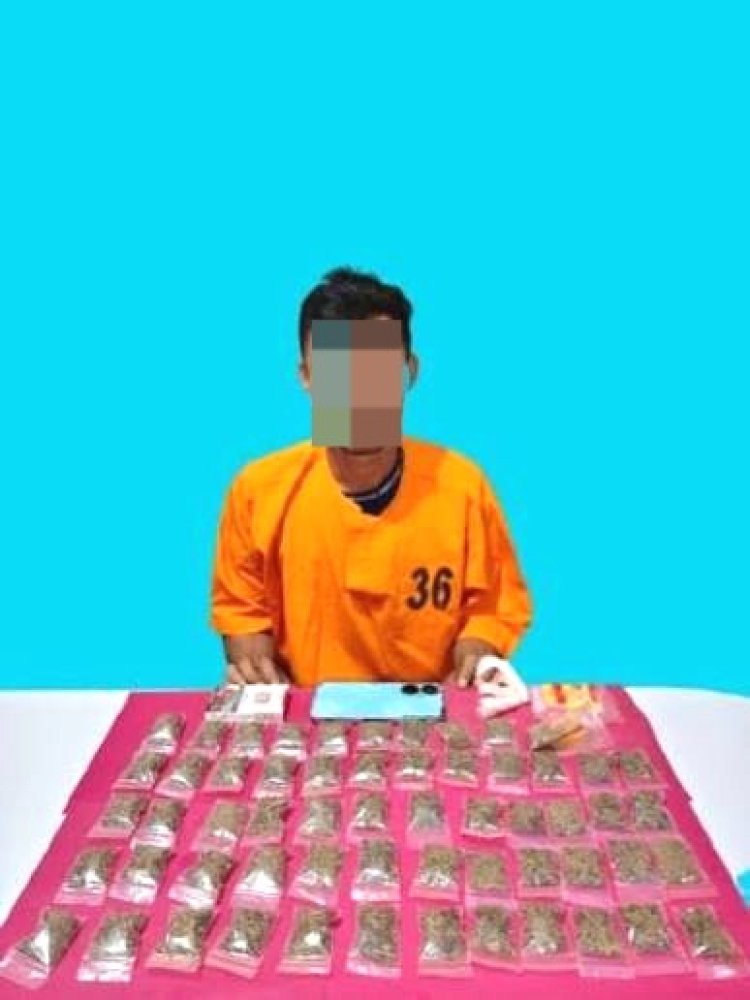 Bongkar Peredaran Narkoba Di Pangkalan Kerinci, Polres Pelalawan Sita 58 Paket Ganja Kering