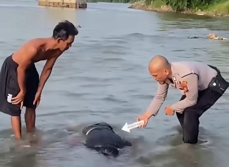 Heboh Penemuan Mayat Di Sungai Rokan, Polres Rohul Ungkap Identitas Korban