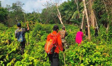 Jaga Asa Keluarga, Tim SAR Lanjutkan Pencarian Hari Kedua Lansia 80 Tahun Hilang Di Perkebunan Meranti