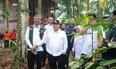 451 Ribu Hektare Gambut Riau Berhasil Direstorasi, SF Hariyanto Minta Masyarakat Perkuat Penjagaan
