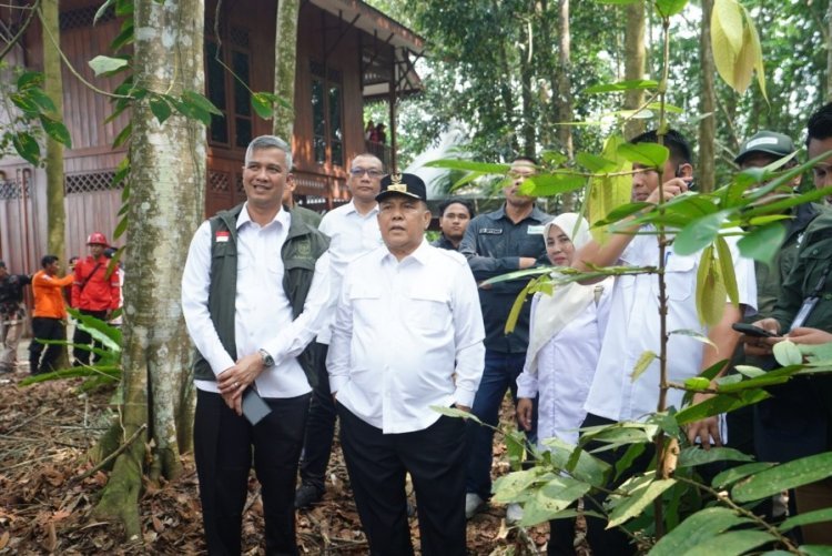 451 Ribu Hektare Gambut Riau Berhasil Direstorasi, SF Hariyanto Minta Masyarakat Perkuat Penjagaan
