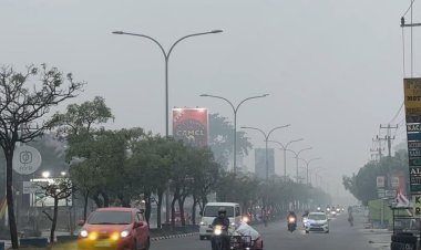 PM2.5 Naik Tajam, Kualitas Udara Kota Pekanbaru Masuk Kategori Sangat Tidak Sehat